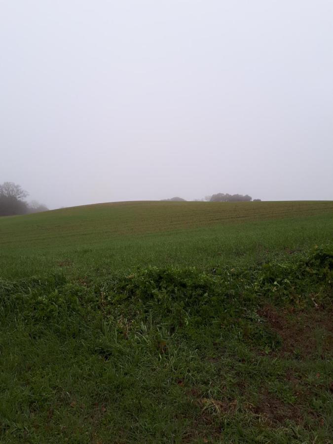 La Médéenne Alairac Esterno foto