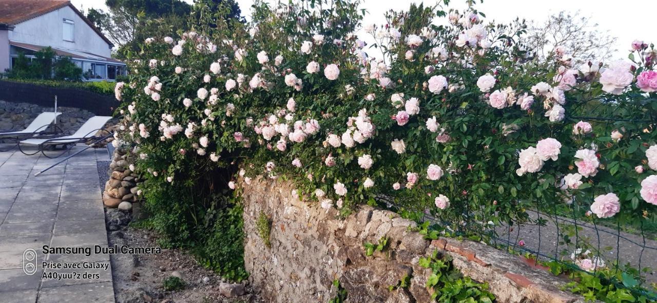La Médéenne Alairac Esterno foto